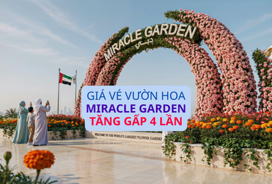 Giá vé Dubai Miracle Garden tăng như thế nào sau hơn 10 năm hoạt động