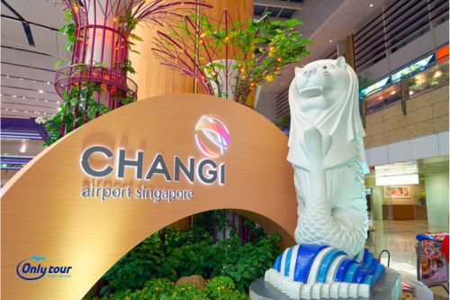 [Kinh Nghiệm Du Lịch Singapore] Sân Bay Changi, Singapore Điểm Dừng Chân Đầu Tiên Thú Vị