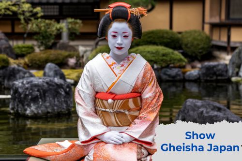Chương Trình Biểu Diễn (show) Geisha Ở Nhật Bản