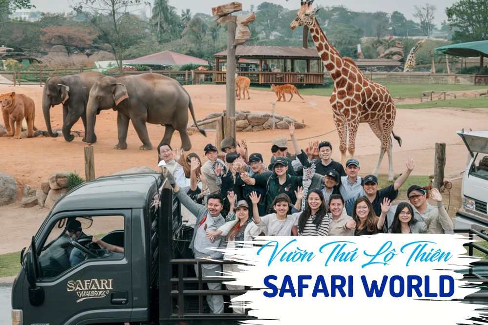 Vườn Thú Lộ Thiên Safari World Điểm Đến Không Nên Bỏ Qua