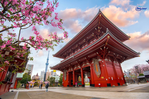 Tour Nhật Bản: Osaka - Kyoto - Nagoya - Hankone - Tokyo 6 Ngày 5 Đêm Bay Vietnam Airlines