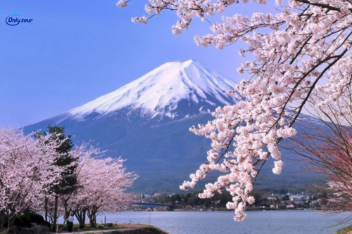 Tour Nhật Bản: Osaka - Kyoto - Nagoya - Hankone - Tokyo 6 Ngày 5 Đêm Bay Vietnam Airlines