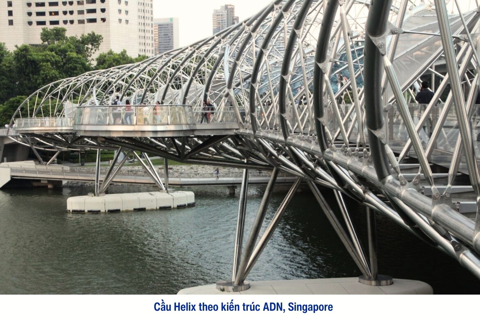 Cầu Helix Brigde Singapore