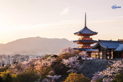 Tour Nhật Bản: Tokyo - Sapporo - Ashikawa - Otaru - Hokkaido 6 Ngày 5 Đêm Bay All Nippon