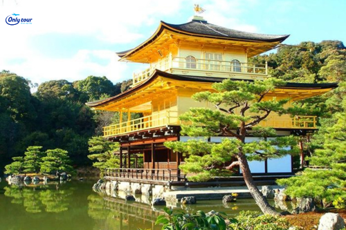 Tour Nhật Bản: Osaka - Nara - Kyoto - Nagoya - Fuji - Tokyo Mùa Hoa Anh Đào Bay Vietjet