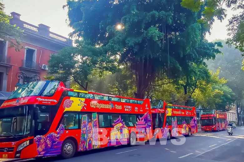 Du Lịch Chùa Hương 1 Ngày Khởi Hành Từ Hà Nội