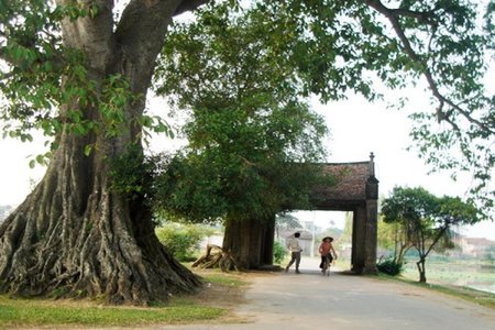 Du Lịch Làng Cổ Đường Lâm - Chùa Tây Phương