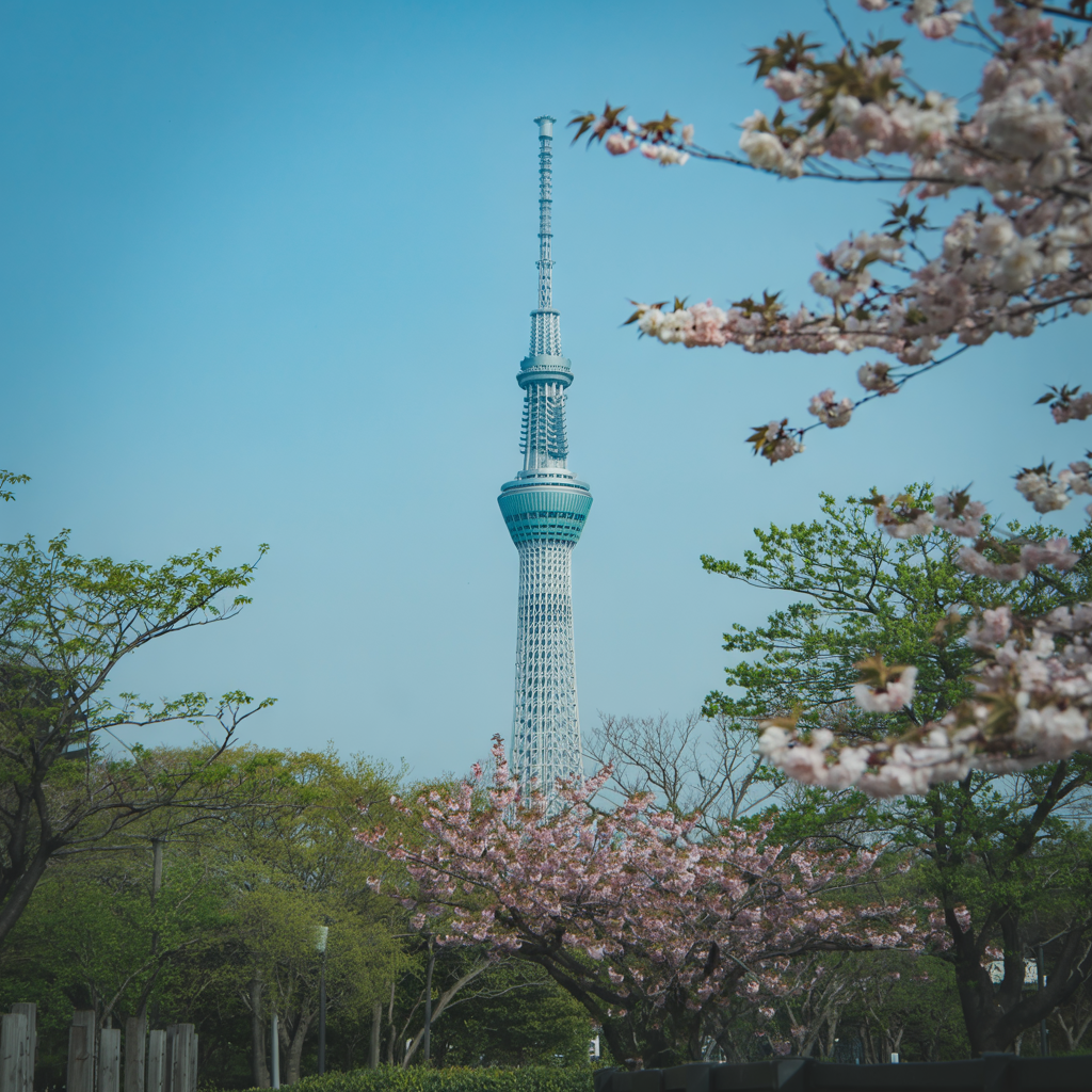 Tokyo Sky Tree