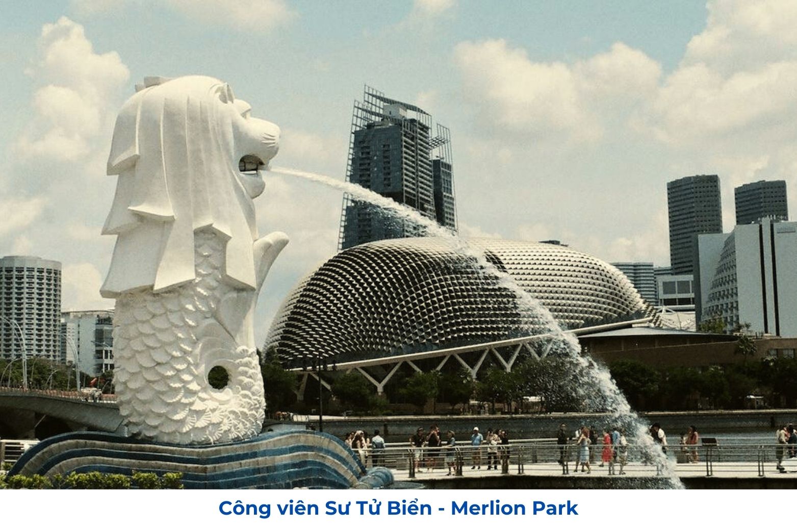 Công viên Merlion Park Singapore