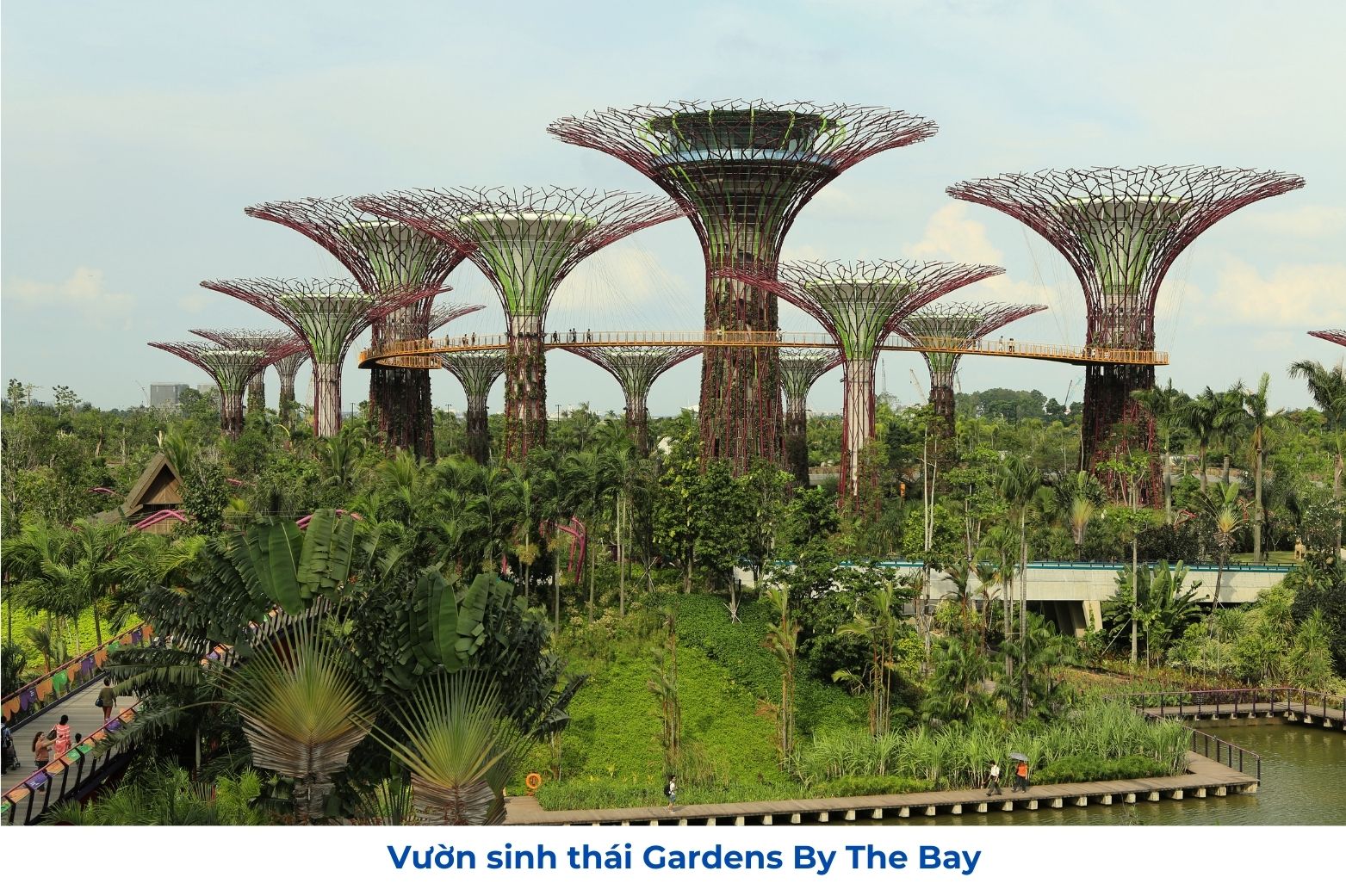 Garden By The Bay Singapore