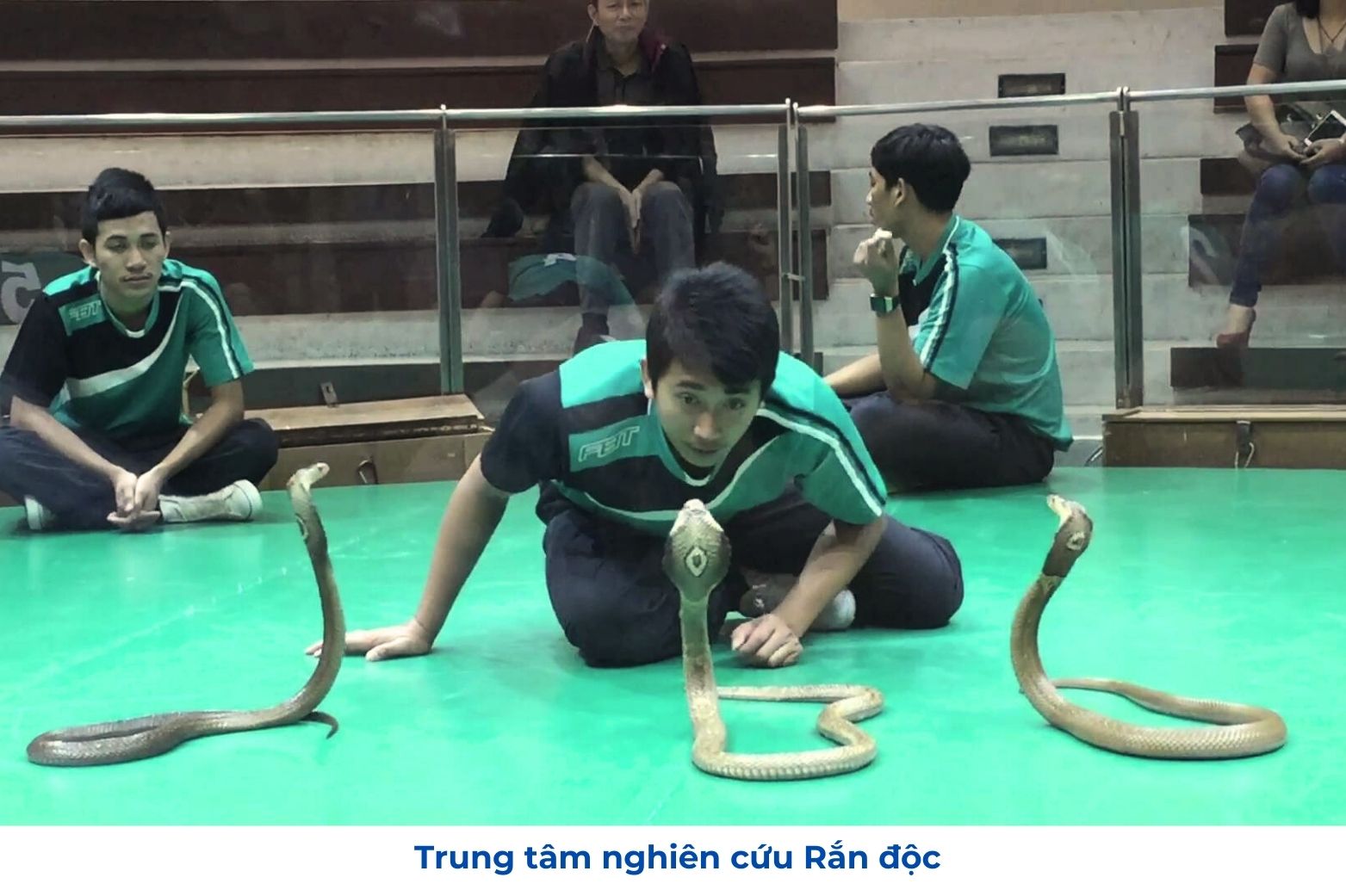 Trung Tâm nghiên Cứu Rắn Độc Thái Lan