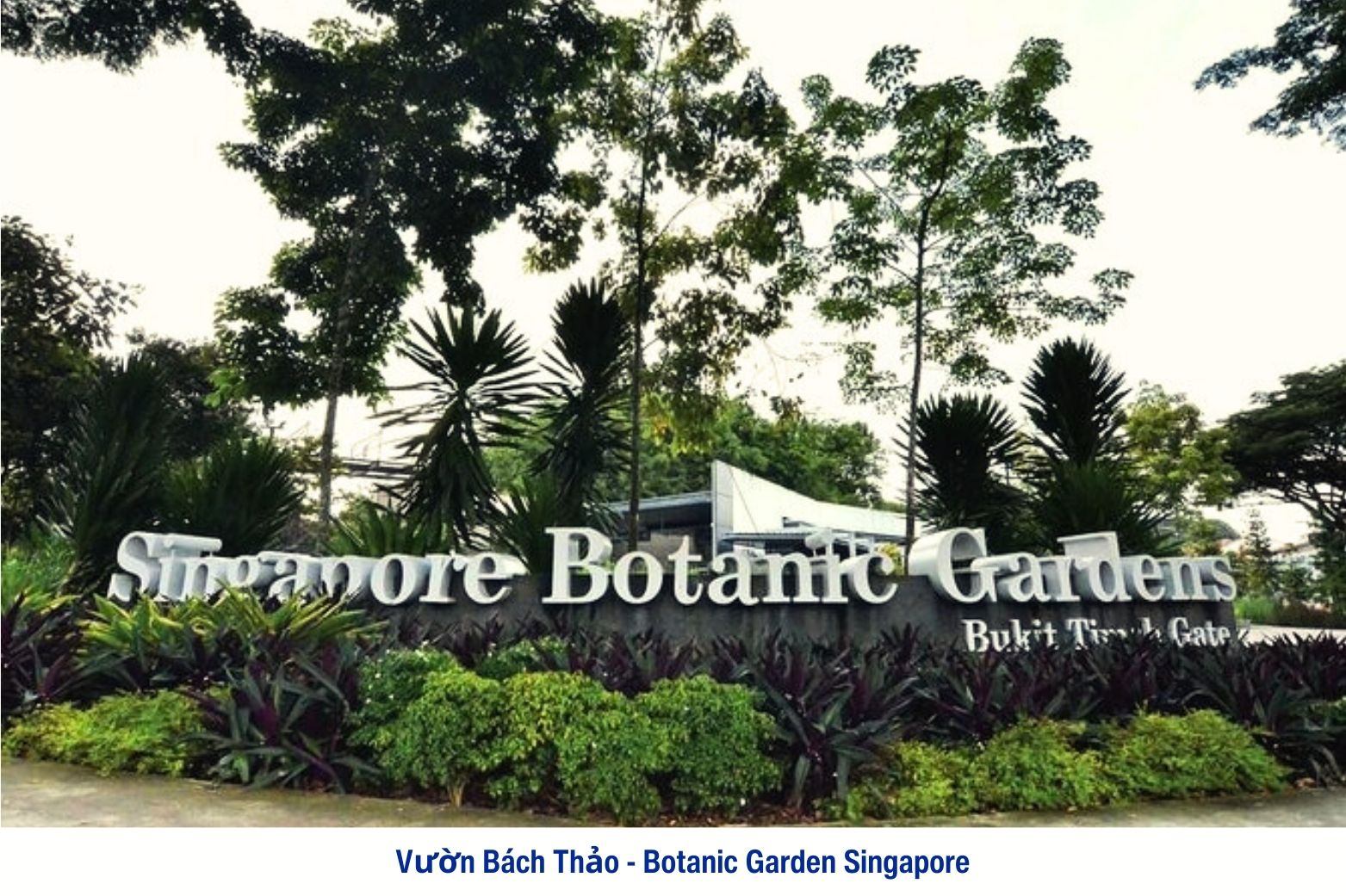 Vườn Botanic Garden Singapore