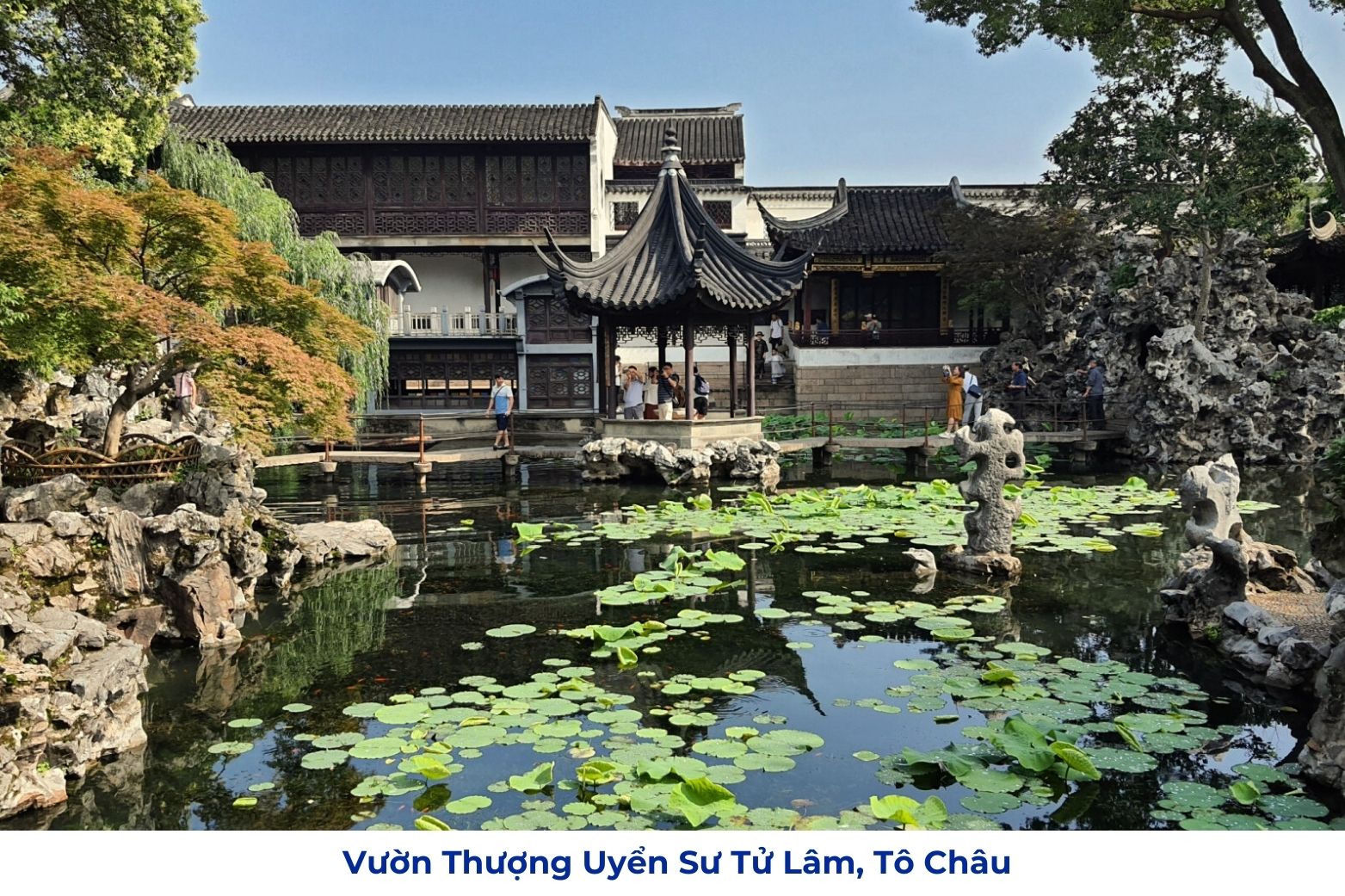 Vườn thượng uyển Sư Tử Lâm, Tô Châu