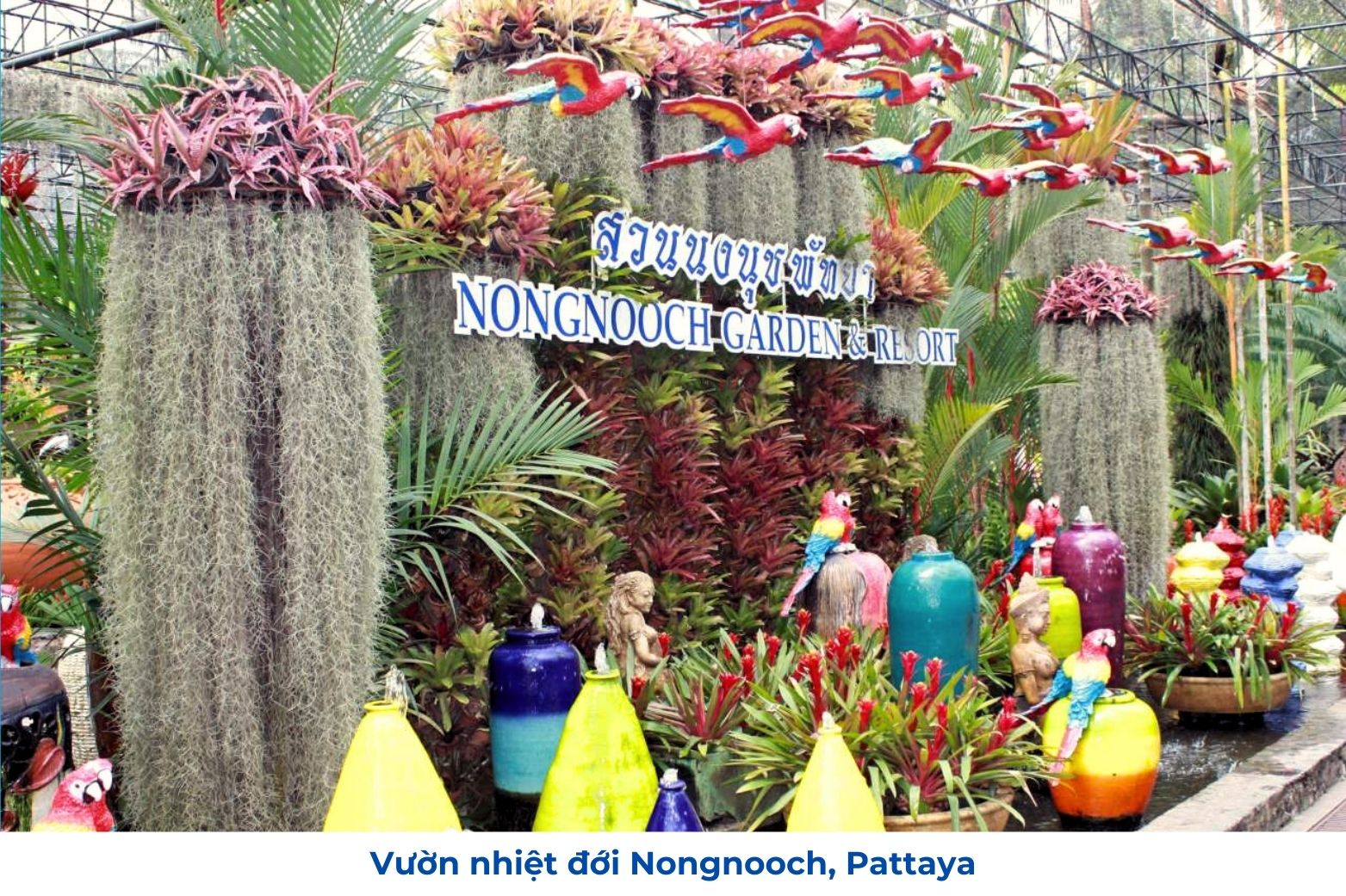 Vườn Lan Nongnooch, Pattaya