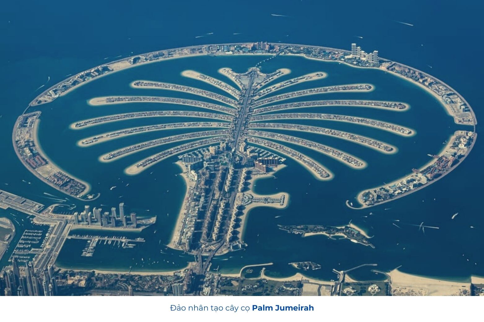 Đảo cọ The Palm Jumeirah Dubai 